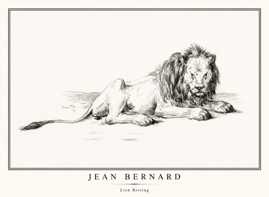 Jean Bernard Lion Resting No1 - Juliste