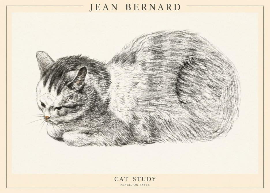 Jean Bernard Cat Study X No1 - Juliste