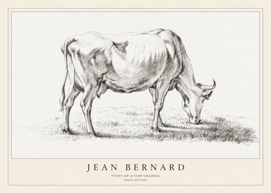 Jean Bernard Study of a Cow Grazing II No1 - Juliste
