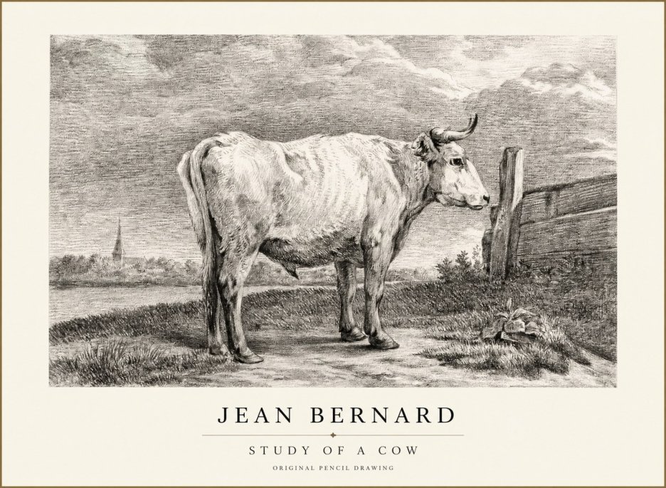 Jean Bernard Study of a Cow XV No1 - Juliste