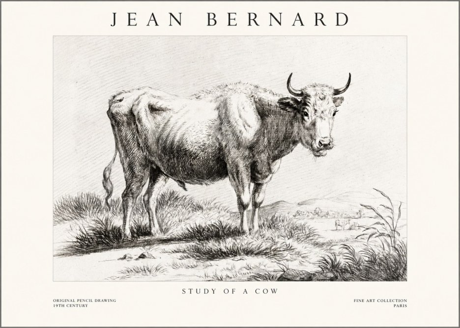 Jean Bernard Study of a Cow XVI No1 - Juliste