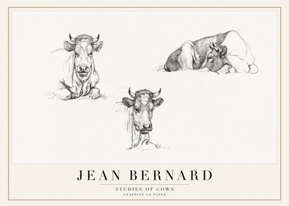 Jean Bernard Studies of Cows II No1 - Juliste
