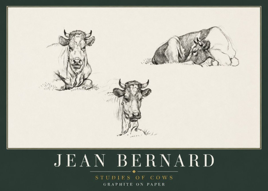Jean Bernard Studies of Cows II No2 - Juliste