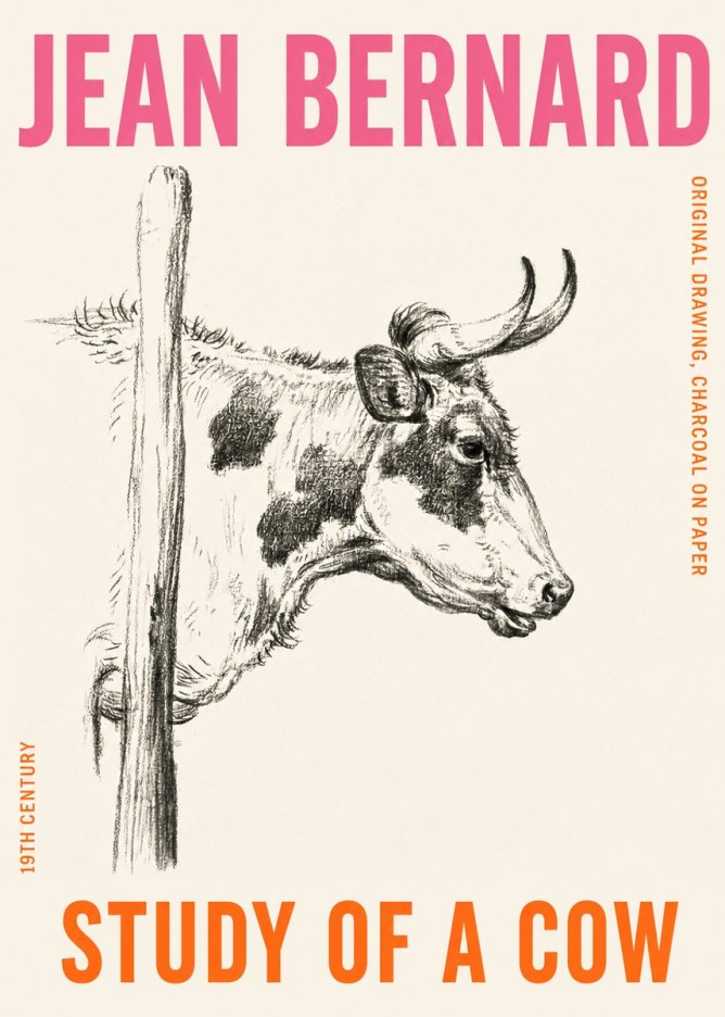 Jean Bernard Study of a Cow XVII No4 - Juliste