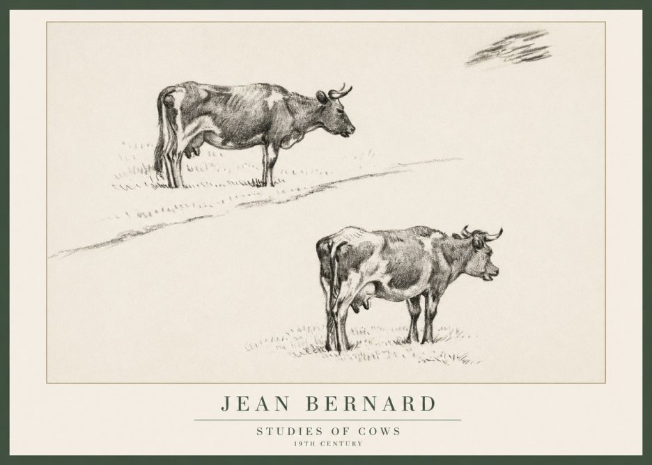 Jean Bernard Studies of Cows III No1 - Juliste