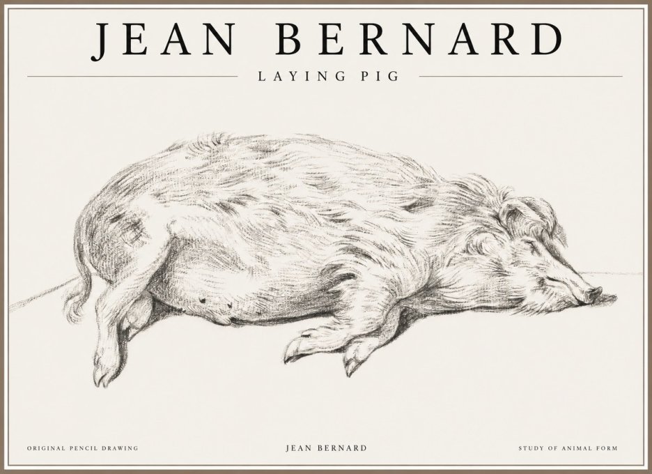 Jean Bernard Laying Pig No1 - Juliste