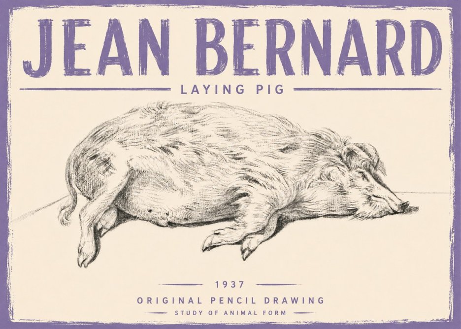 Jean Bernard Laying Pig No5 - Juliste