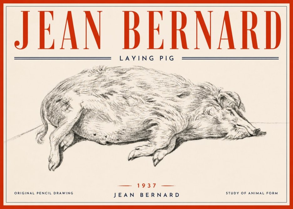 Jean Bernard Laying Pig No6 - Juliste