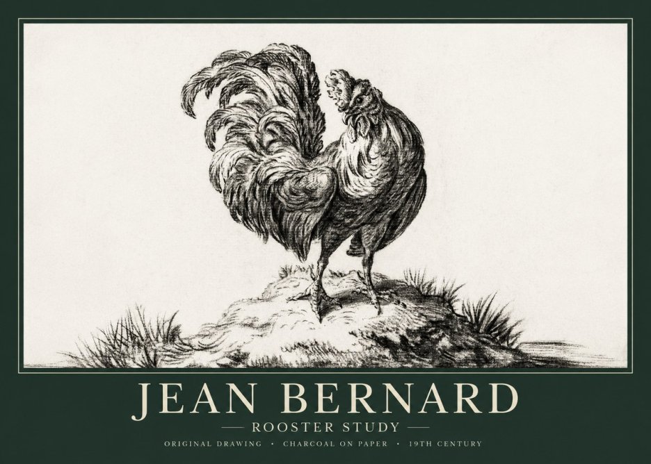 Jean Bernard Study of a Rooster No2 - Juliste