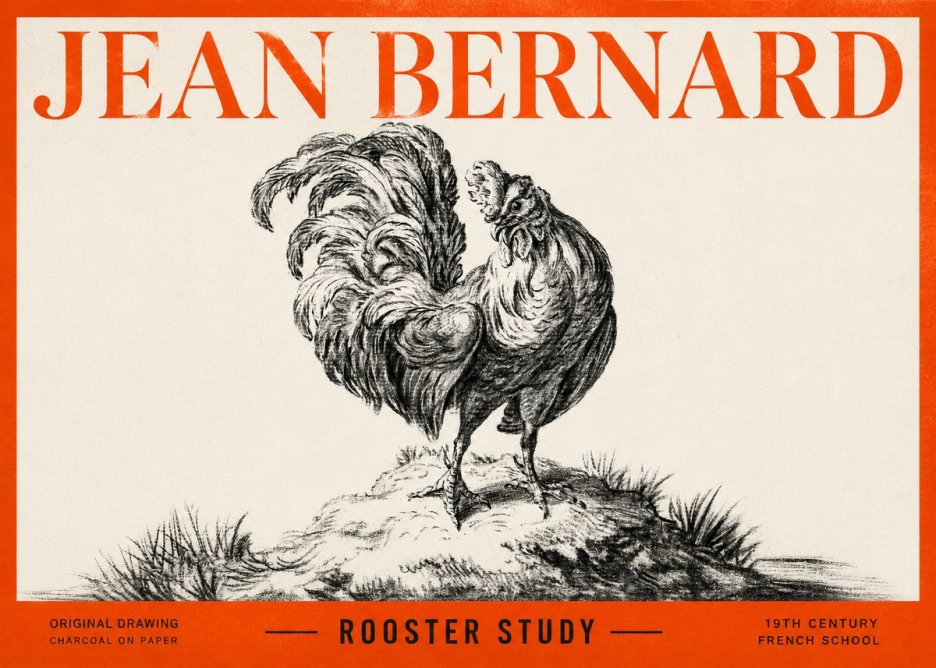 Jean Bernard Study of a Rooster No3 - Juliste