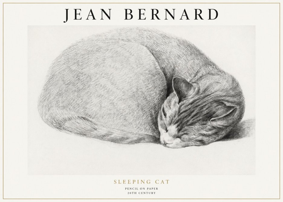 Jean Bernard Sleeping Cat IX No1 - Juliste