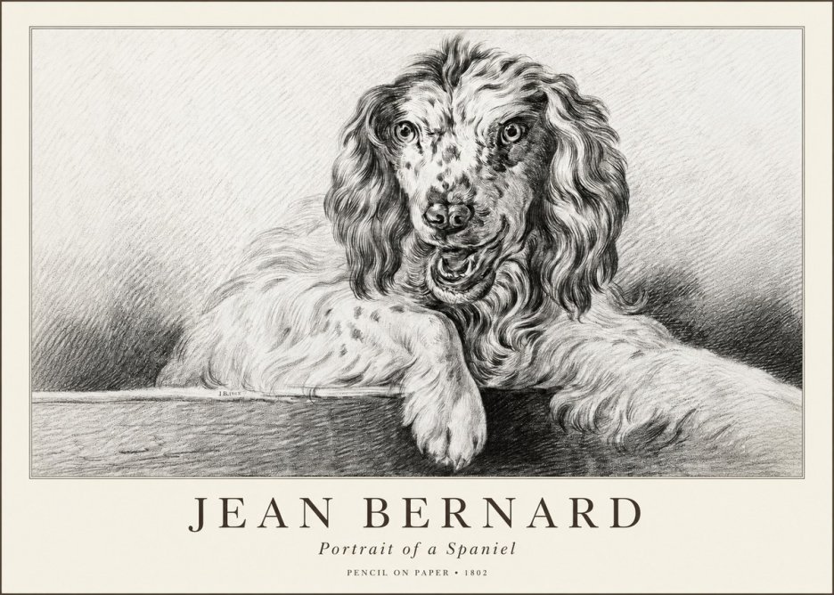 Jean Bernard Portrait of a Spaniel No1 - Juliste