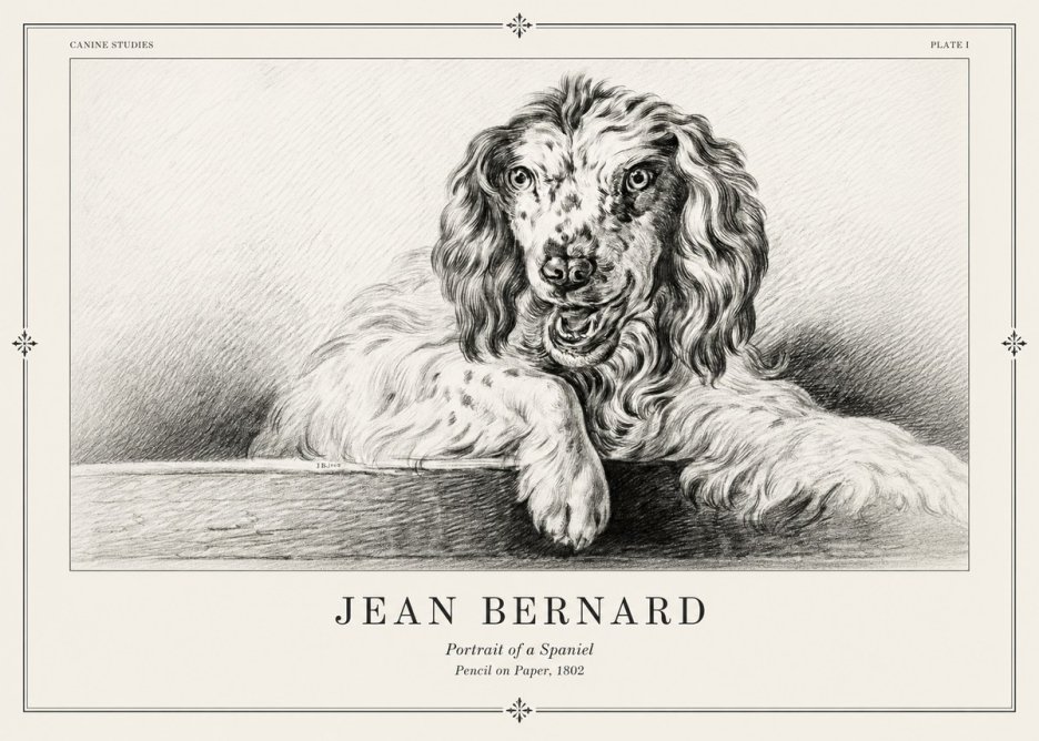 Jean Bernard Portrait of a Spaniel No2 - Juliste