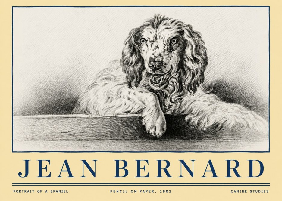 Jean Bernard Portrait of a Spaniel No4 - Juliste