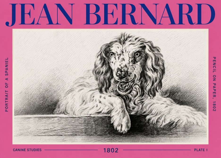 Jean Bernard Portrait of a Spaniel No6 - Juliste