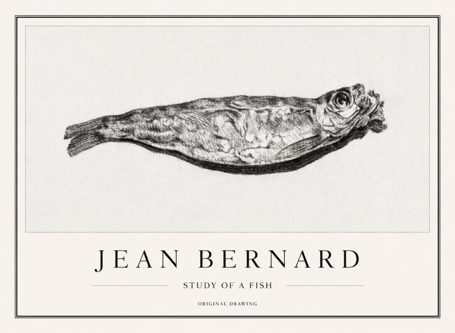 Jean Bernard Study of a Fish V No1 - Juliste