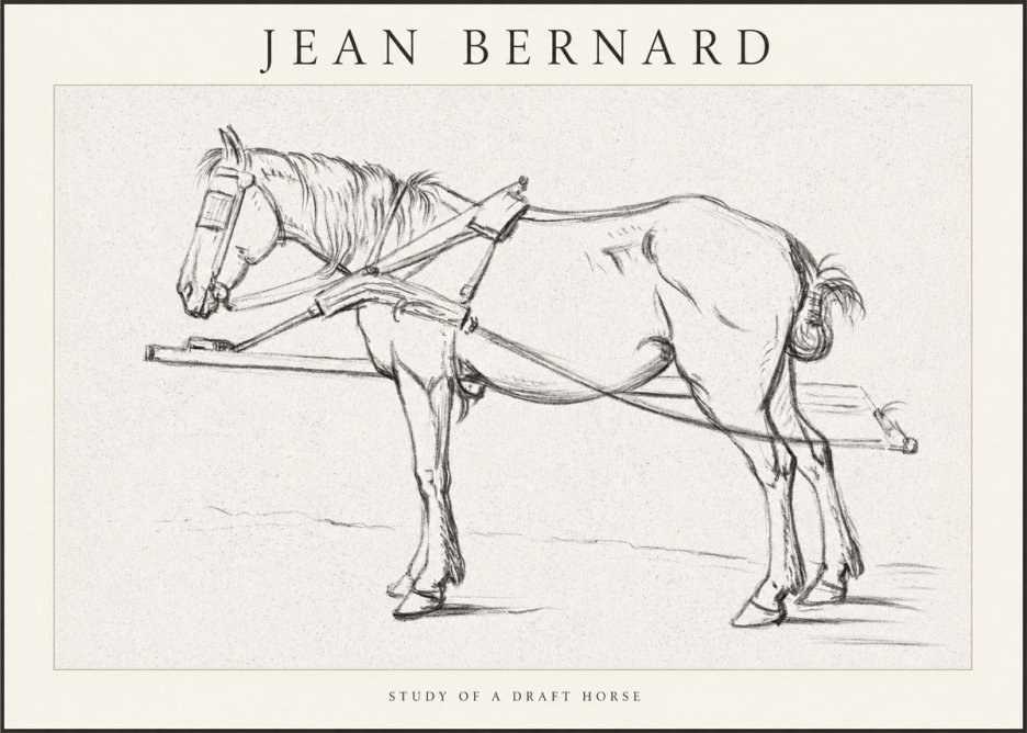 Jean Bernard Study of a Draft Horse II No1 - Juliste