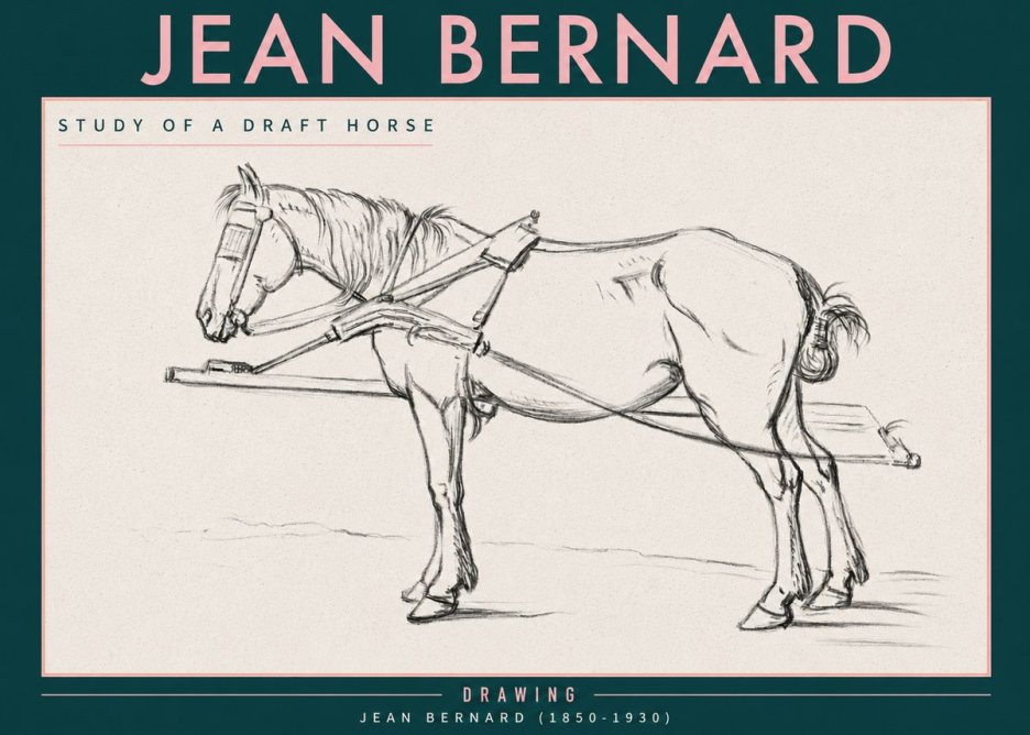 Jean Bernard Study of a Draft Horse II No3 - Juliste