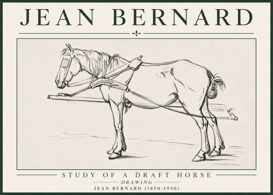 Jean Bernard Study of a Draft Horse II No4 - Juliste