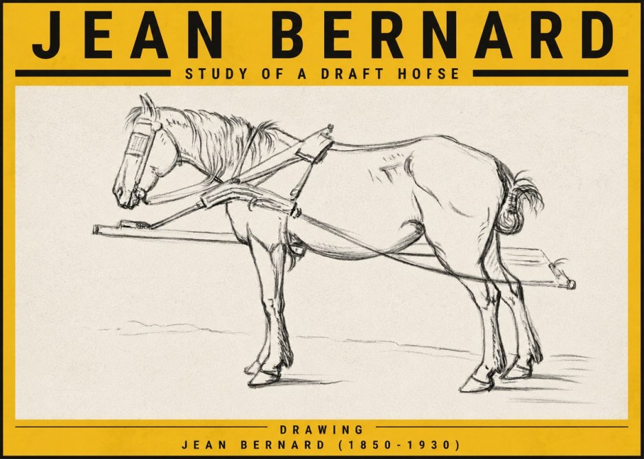 Jean Bernard Study of a Draft Horse II No5 - Juliste