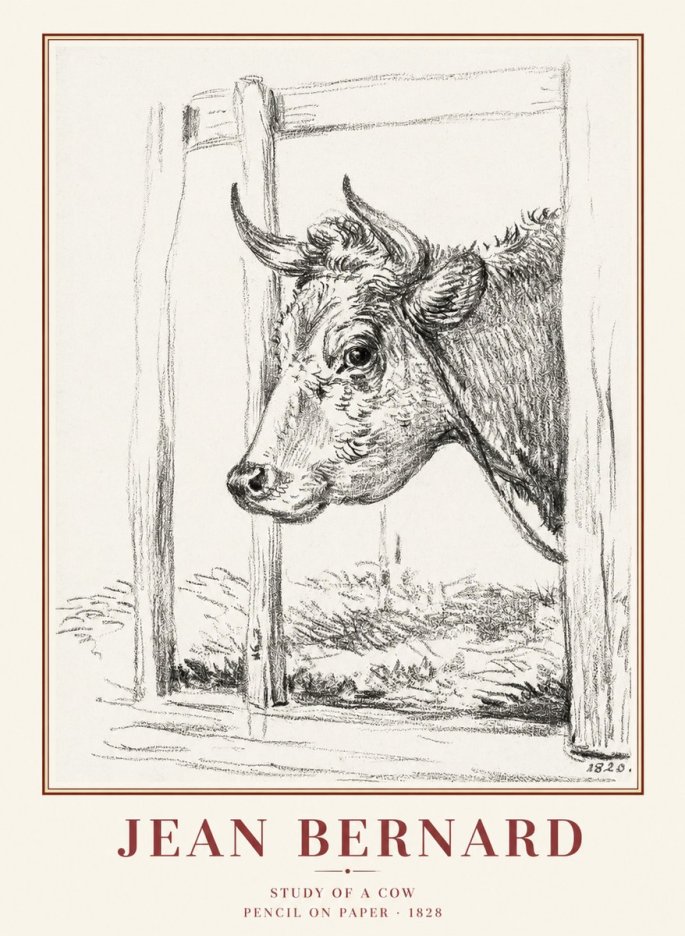 Jean Bernard Study of a Cow XVIII No1 - Juliste