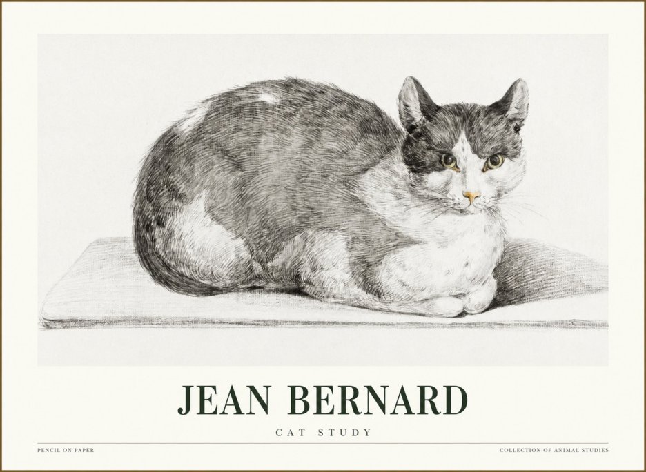 Jean Bernard Cat Study XI No1 - Juliste