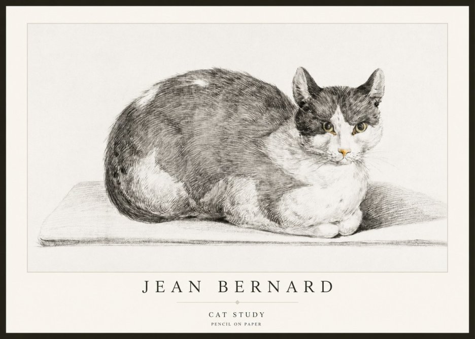 Jean Bernard Cat Study XI No2 - Juliste