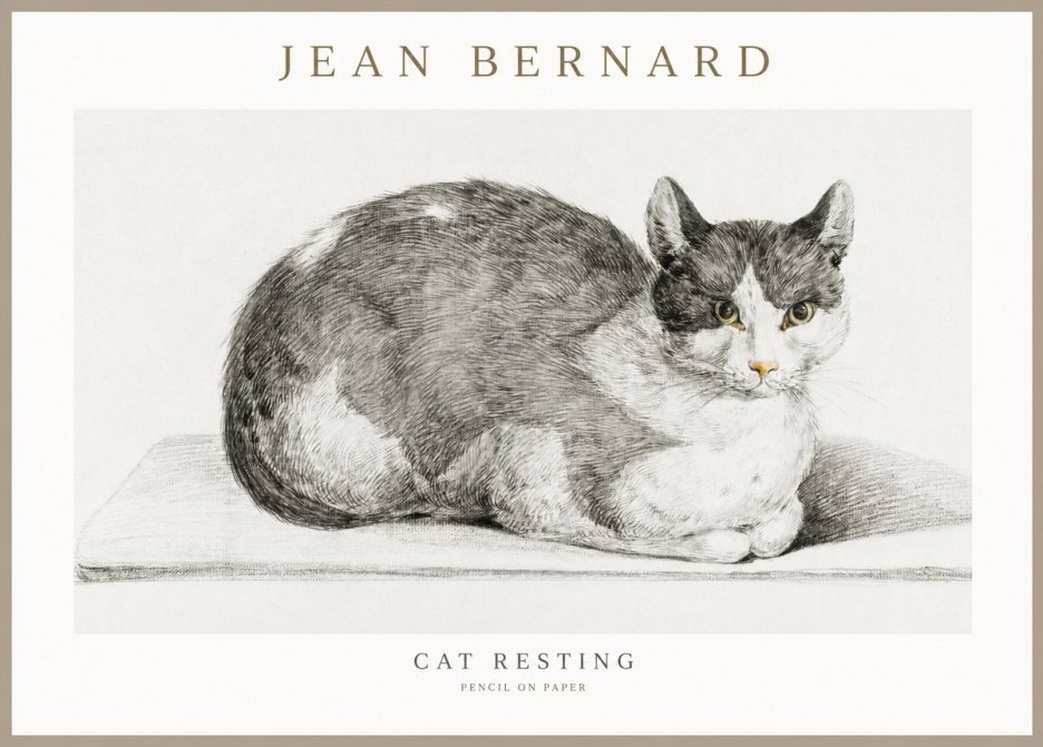 Jean Bernard Cat Study XI No3 - Juliste