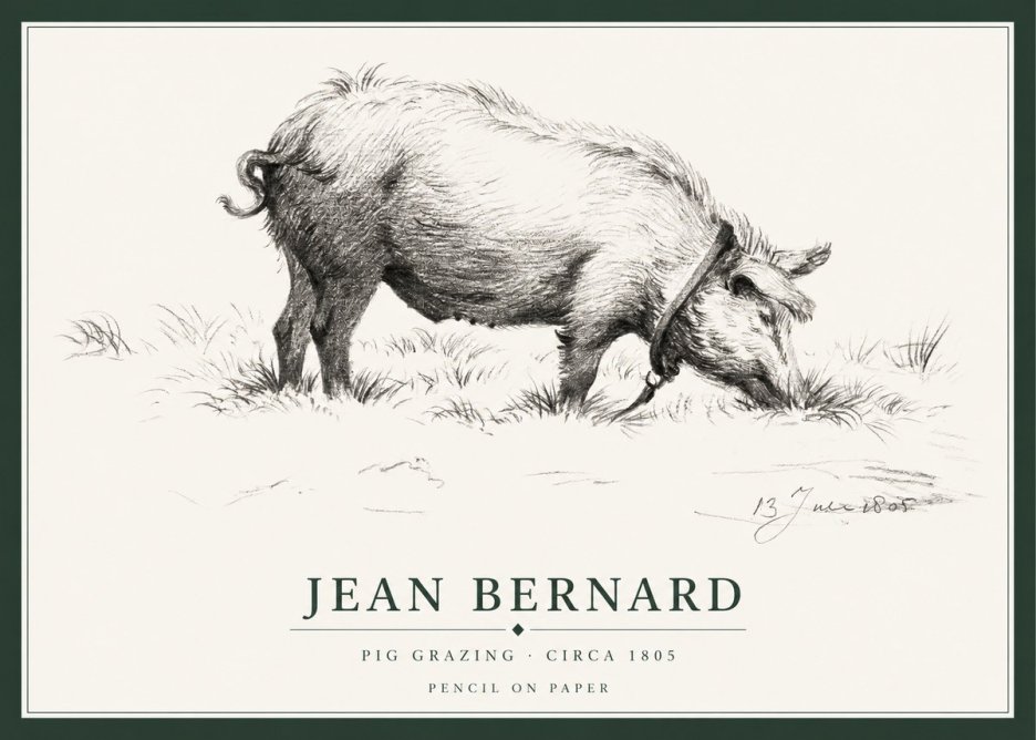 Jean Bernard Pig Grazing No1 - Juliste