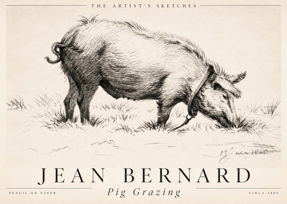 Jean Bernard Pig Grazing No2 - Juliste