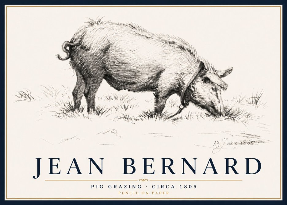 Jean Bernard Pig Grazing No5 - Juliste