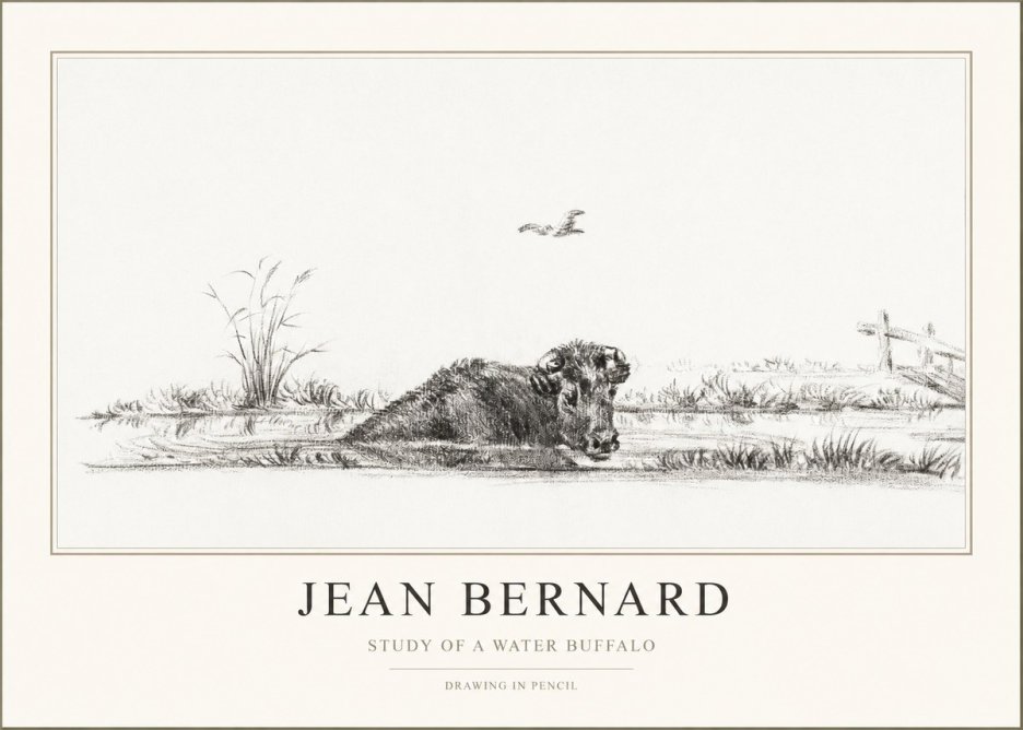 Jean Bernard Study of a Water Buffalo No1 - Juliste