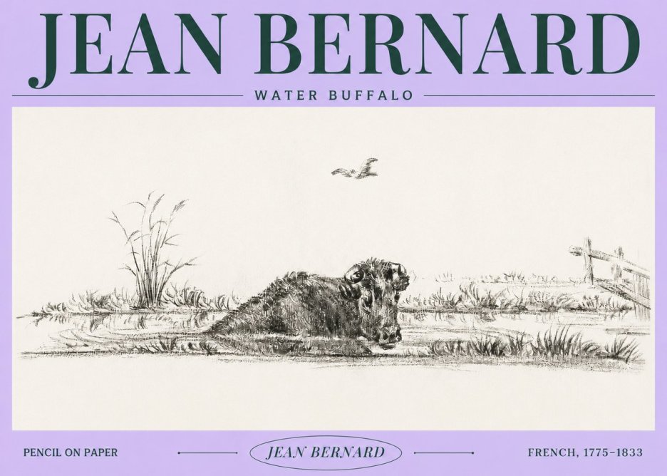Jean Bernard Study of a Water Buffalo No4 - Juliste