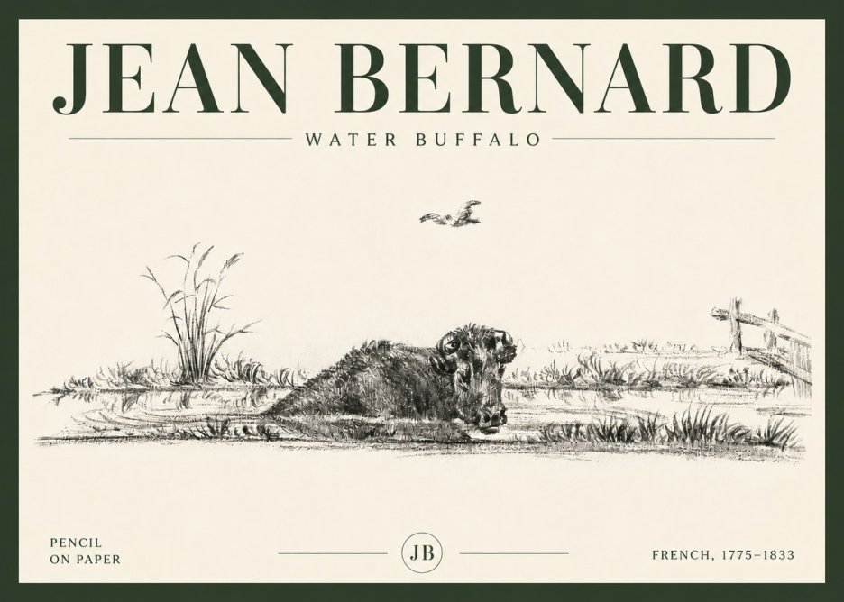 Jean Bernard Study of a Water Buffalo No6 - Juliste