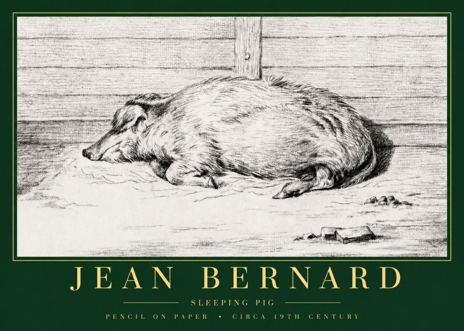 Jean Bernard Sleeping Pig I No3 - Juliste