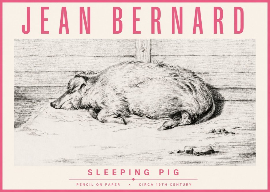 Jean Bernard Sleeping Pig I No4 - Juliste
