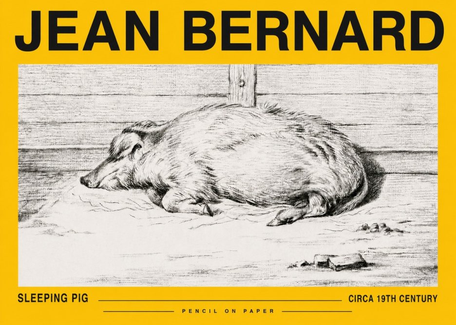 Jean Bernard Sleeping Pig I No5 - Juliste