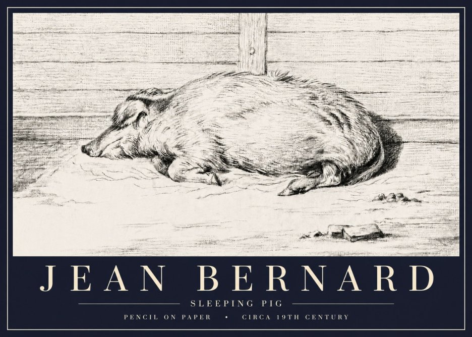 Jean Bernard Sleeping Pig I No6 - Juliste
