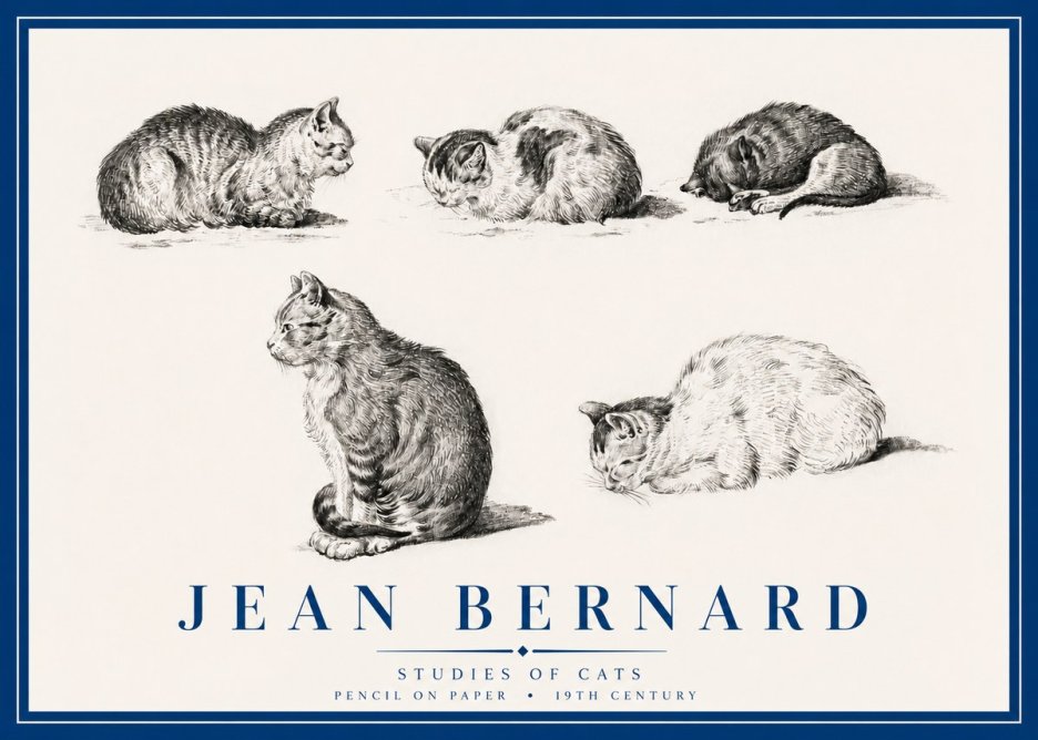Jean Bernard Studies of Cats No3 - Juliste