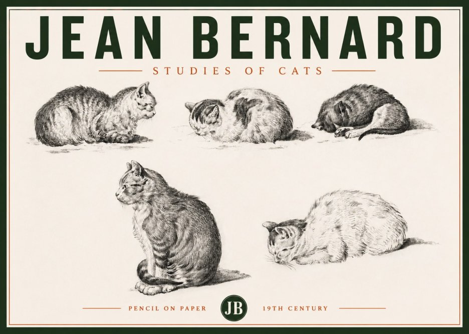 Jean Bernard Studies of Cats No4 - Juliste