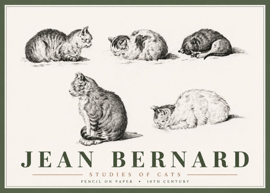 Jean Bernard Studies of Cats No6 - Juliste