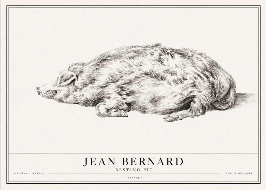 Jean Bernard Resting Pig II No1 - Juliste