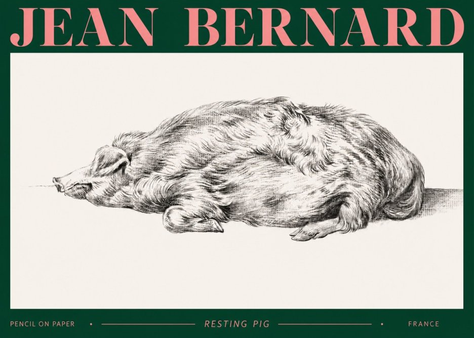 Jean Bernard Resting Pig II No2 - Juliste