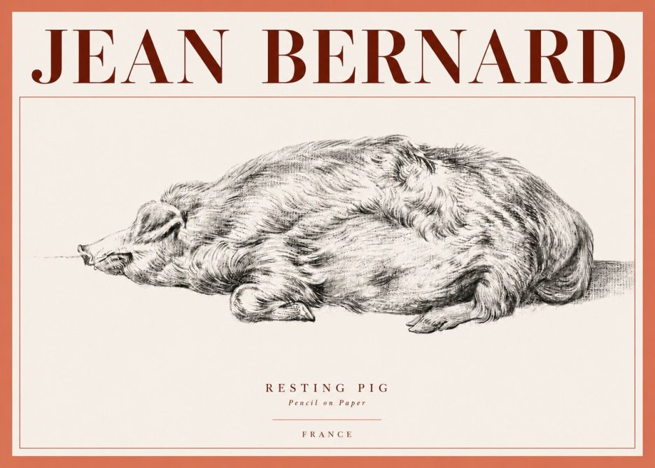 Jean Bernard Resting Pig II No4 - Juliste