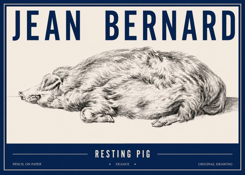 Jean Bernard Resting Pig II No5 - Juliste
