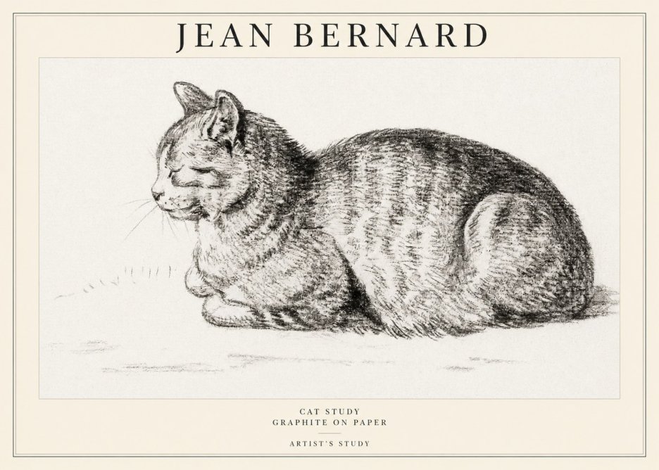 Jean Bernard Cat Study XII No1 - Juliste