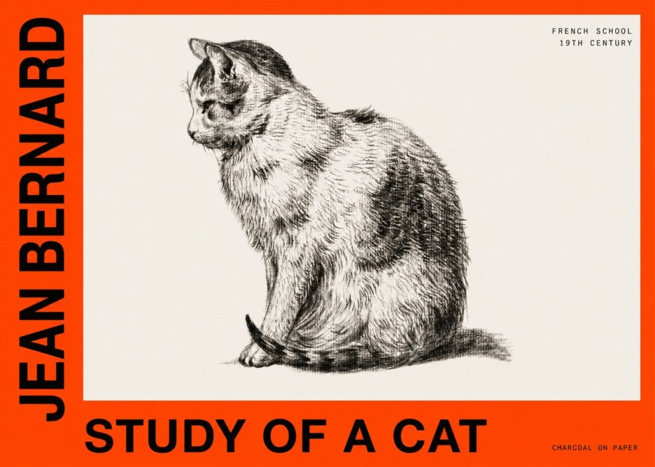 Jean Bernard Study of a Cat IV No6 - Juliste