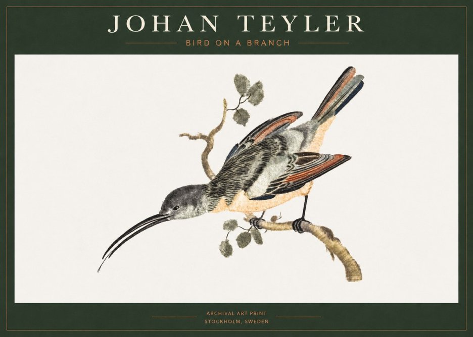 Johan Teyler Bird on a Branch No1 - Juliste