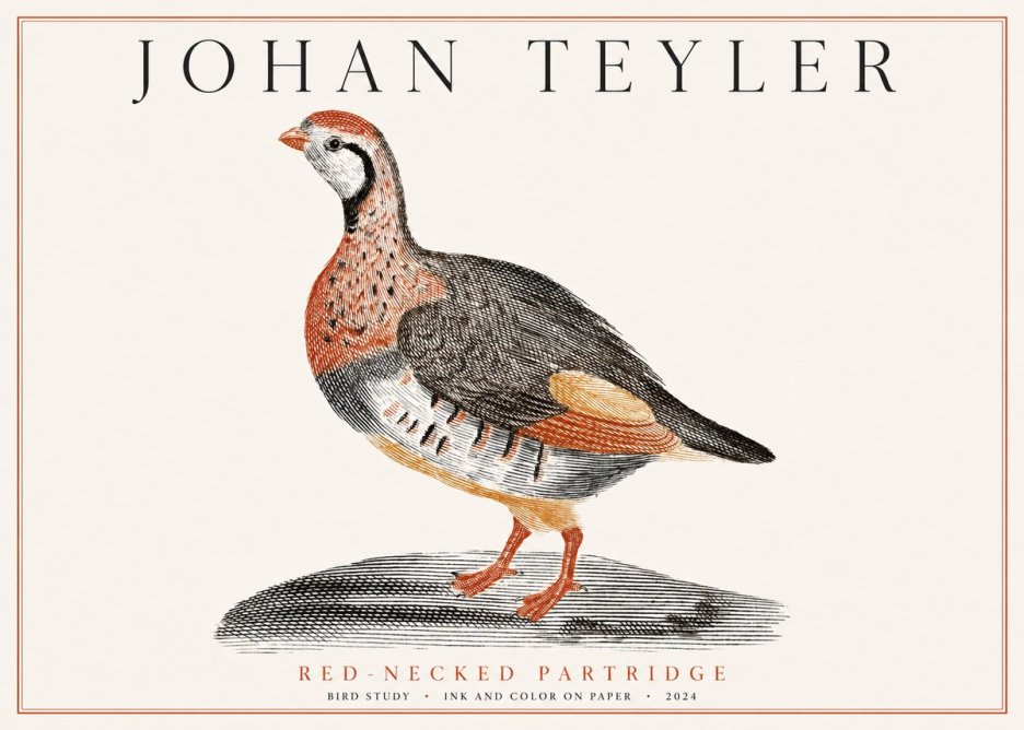 Johan Teyler Red-necked Partridge No1 - Juliste