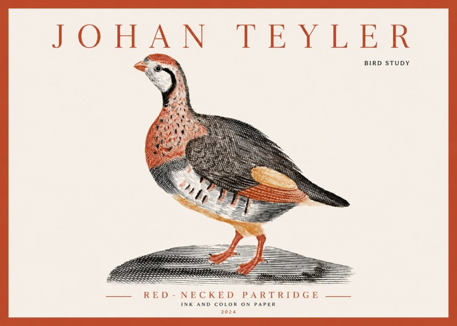 Johan Teyler Red-necked Partridge No3 - Juliste